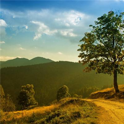 Bsport体育官方下载入口